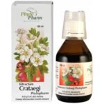 Intractum Crataegi Phytopharm is used for mild age-related heart problems after serious heart diseases have been ruled out by a doctor.