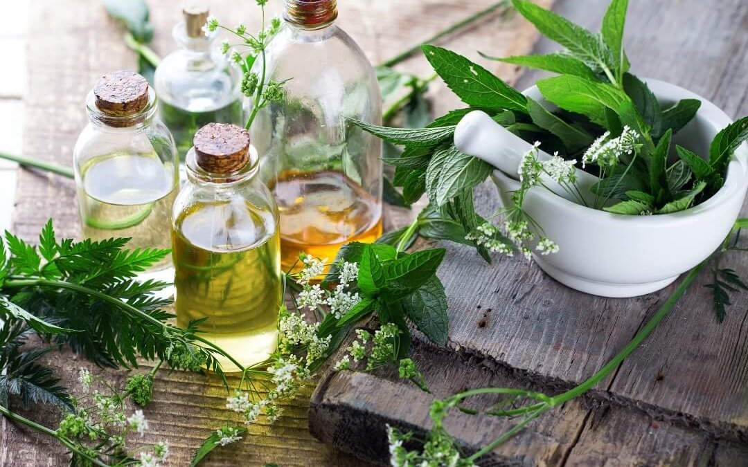 Phytotherapy treatment