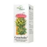 Cynacholin is a medicinal product that relieves the symptoms of indigestion.