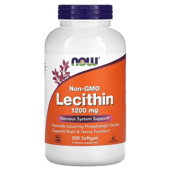 Supports the nervous system