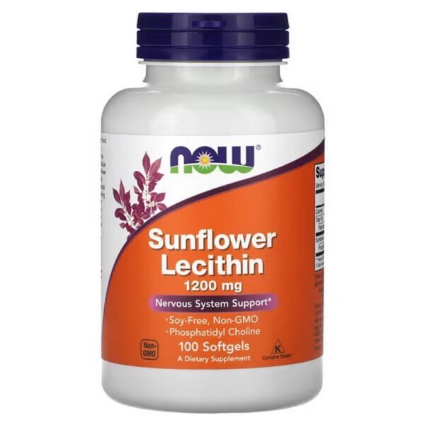 Supports the nervous system