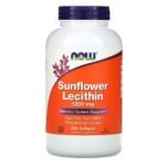 Supports the nervous system