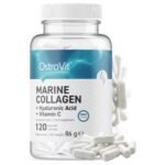 Collagen is one of the most important proteins found in the human body. It is present in almost all human tissues. It is the basic building block of, among others: skin, tendons, bones, joints, cornea.