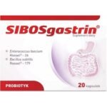 lactic acid and some digestive enzymes necessary to maintain the proper functioning of the digestive tract.