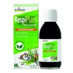 Has a calming effect on the throat, larynx and vocal cords.