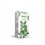 Mistletoe supports the body's immune and defense systems.