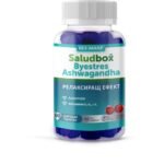 the immune system-SALUDBOX Byestres No Sugar with ashwagandha for stress without sugar 60, mucous membranes-SALUDBOX Byestres No Sugar with ashwagandha for stress without sugar 60, skin-SALUDBOX Byestres No Sugar with ashwagandha for stress without sugar 60,oxidative stress-SALUDBOX Byestres No Sugar with ashwagandha for stress without sugar 60
