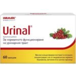 the health of the urinary tract- Urinal, 60, the normal functioning of the urinary tract -Urinal, 60,antimicrobial effect-Urinal, 60,proanthocyanidins-Urinal, 60