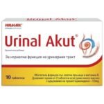 the health of the urinary tract-Urinal Acute, 10 , the normal functioning of the urinary tract -Urinal Acute, 10,antimicrobial effect-Urinal Acute, 10,proanthocyanidins-Urinal Acute, 10