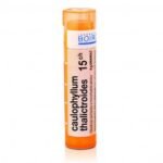 Caulophyllum thalictroides 15C is a homeopathic remedy used for conditions related to the female reproductive system, such as menstrual irregularities and labor-related issues. It comes in granules form, with a potency of 15C.